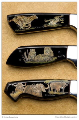 scrimshaw on water buffalo horn of African big game animals