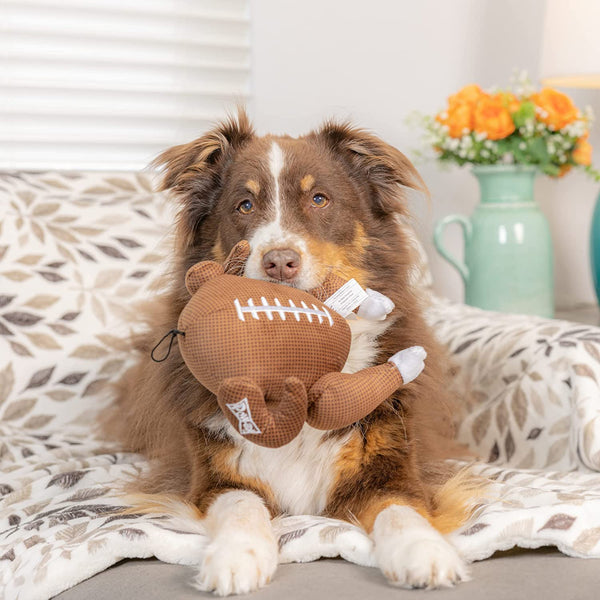 turkey football dog toy