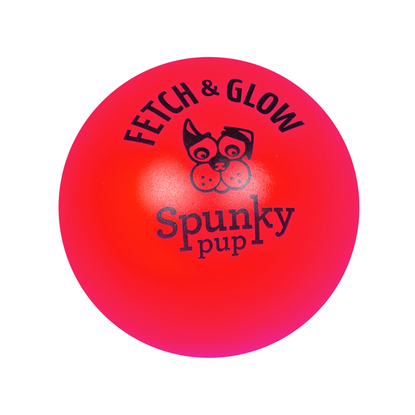 fetch and glow ball