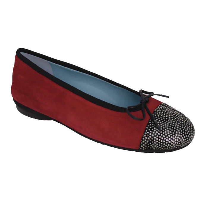 Fall is on the way...See what's new!