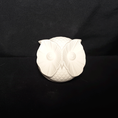 Flat Detailed Owl Box