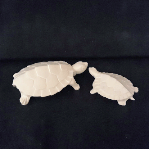 Mini Turtle Set 2