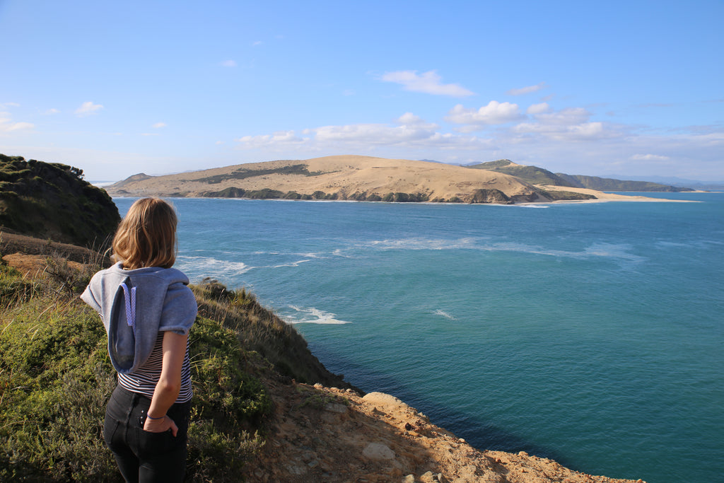 Hokianga Harbour look out