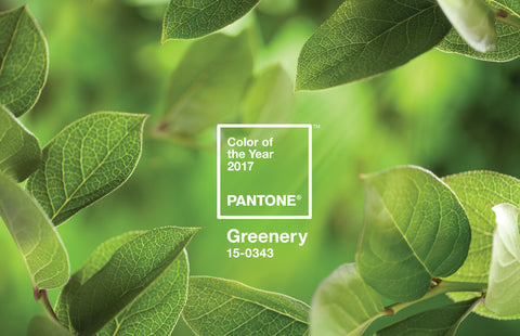 Greenery Trend Pantone Colour of the Year 2017 Interiors