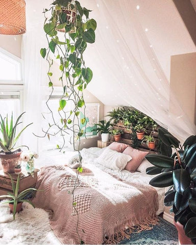 glamping boho canopy nature greenery bedroom trends interiors vavoom