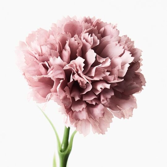 Artificial Flora Carnation Dusty Pink 47CML
