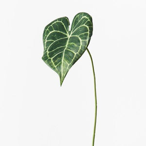 Artificial Flora Syngonium Batik Leaf Green 42CML X 12CMW