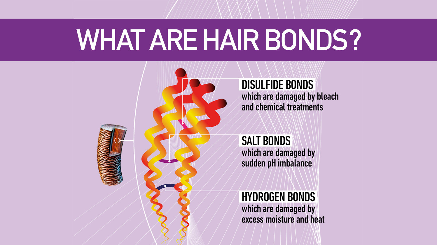 How To Strengthen & Repair Hair Bonds – Curlsmith USA
