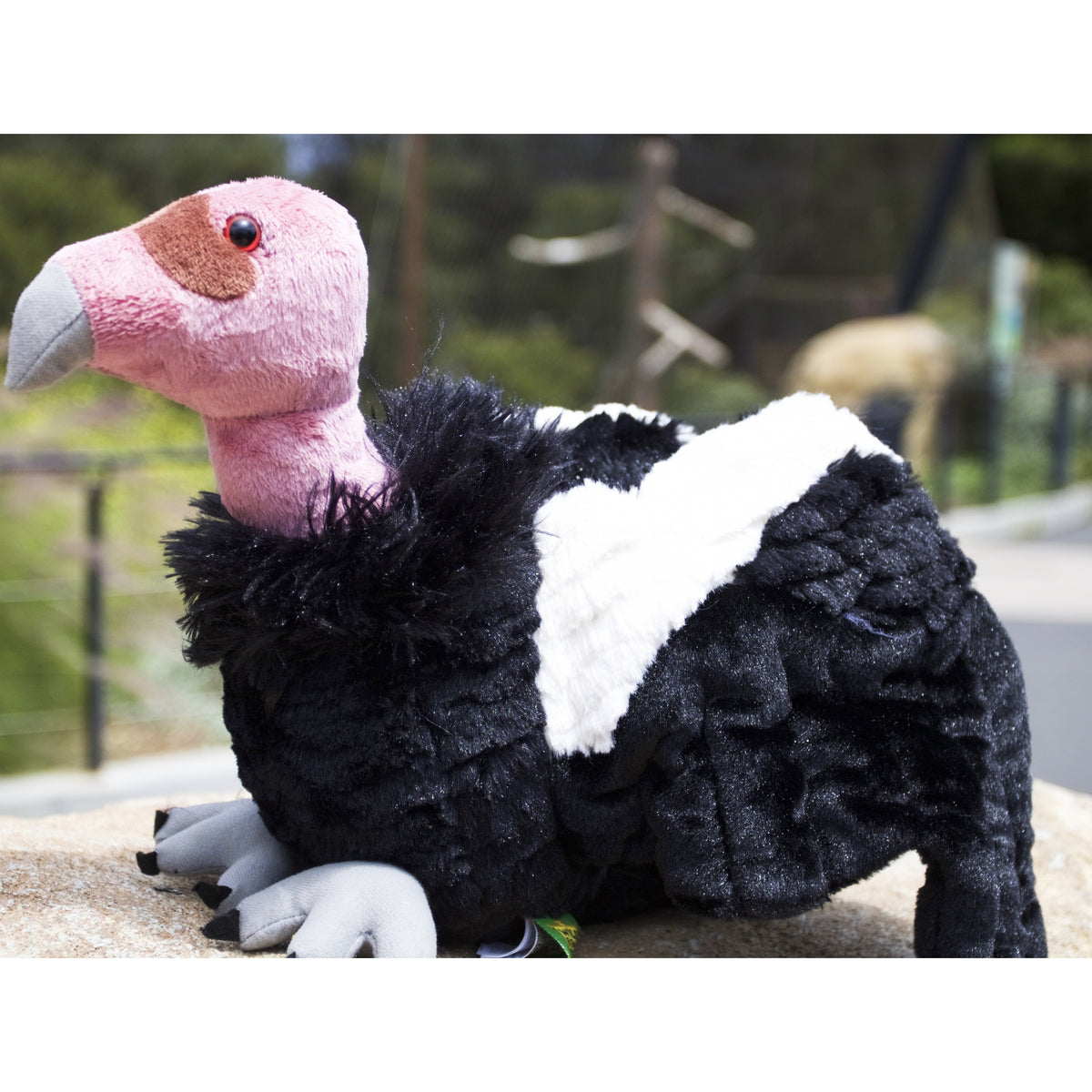 California Condor Stuffed Animal – Shop Santa Barbara Zoo