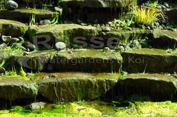 Conventional pondless waterfall kits grow excessive algae on the waterfalls that becomes a maintenance nightmare and an eyesore.