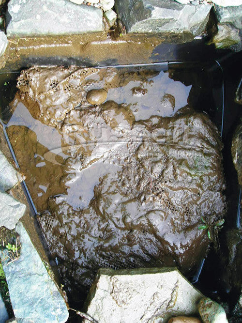 Looking inside a bio fall type waterfall filter