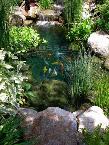 Marlin Series Ultimatate Medium Pond Kits