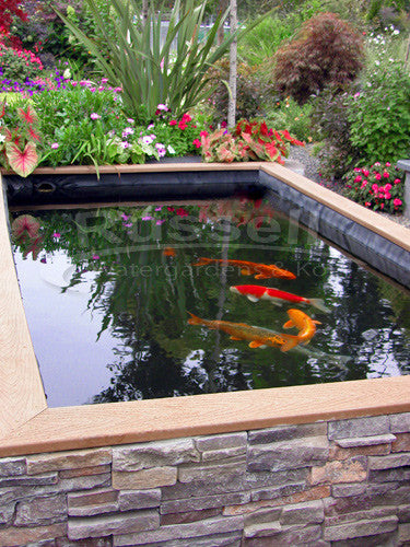 How to build a koi pond 2