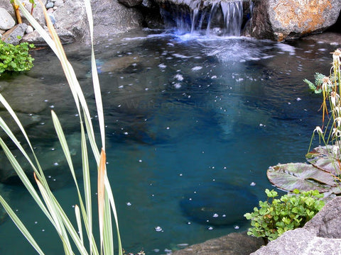 The Hybrid Pond™ uses submerged aeration, waterfalls, and a bottom drain.