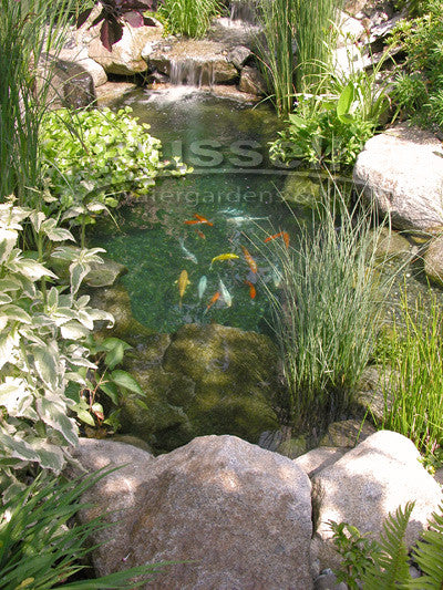 6'x11' Pond Kit - Ahi Series Ultimate Water Garden Pond Kit waterfall filter pond