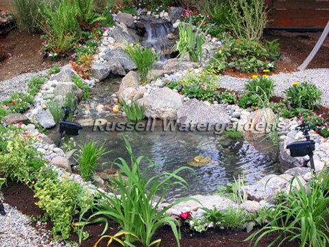 How to Build a Water Garden Pond