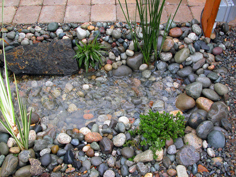 Pondless Basin-Ectomies make owning pondless waterfall less expensive and more of a joy.