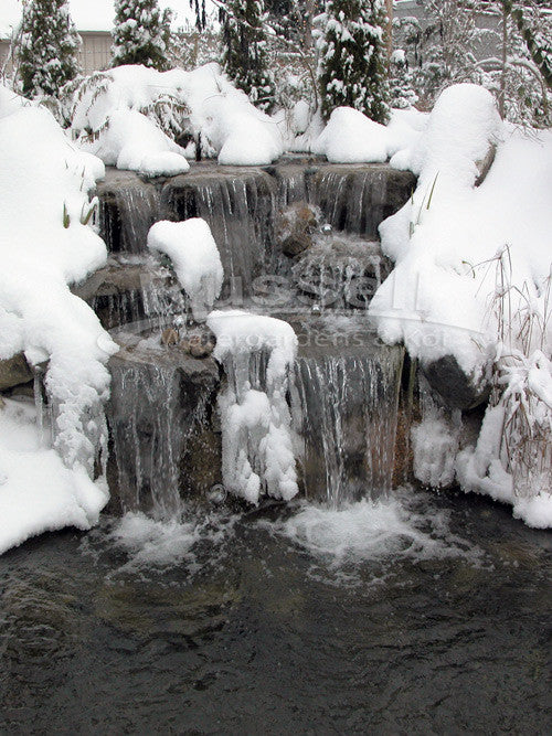 Fall-Winter Maintenance cold water pond bacteria blocks