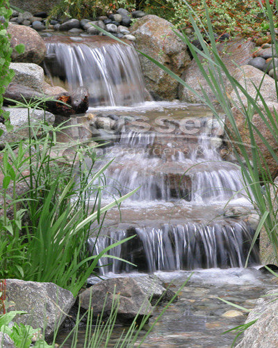 Dolphin Series Ultimate Large Pondless Waterfall Kit with 10' Stream