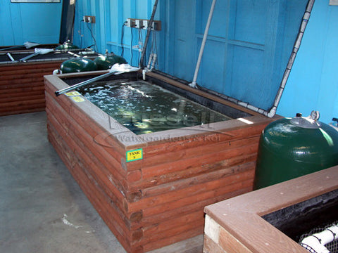 VPA-7 variable pond air pump for aerating fish holding tanks