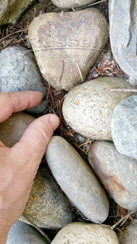 Hand picking a gravel filled pondless basin