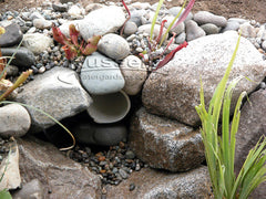 How to build a water garden pond - use water plants, rocks, and gravel to hide the skimmer inlet pipe.