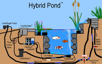 Circular water motion inside the Hybrid Pond makes the bottom drain more efficient.