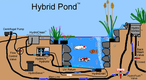 Hybrid Pond™ - A Design Concept Created by Russell Watergardens & Koi.