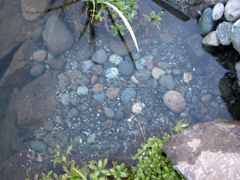Hydro Vescense cleaned this pond gravel