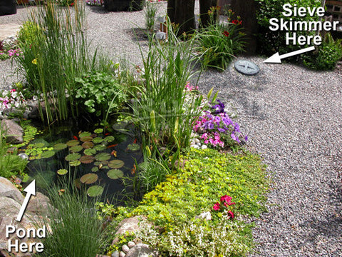 Moving the pond skimmer away from the pond makes for a much more natural looking pond