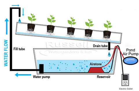 BAP-1 small pond air pumps is great for hydroponic systems