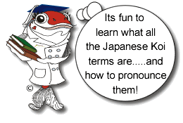 Glossary of koi terms