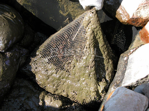 The truth about annually cleaned waterfall filters is that you have to remove heavy media nets by hand