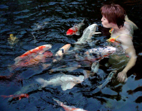 Pamela Russell, one of the company founders swimming with koi in a crossover pond.