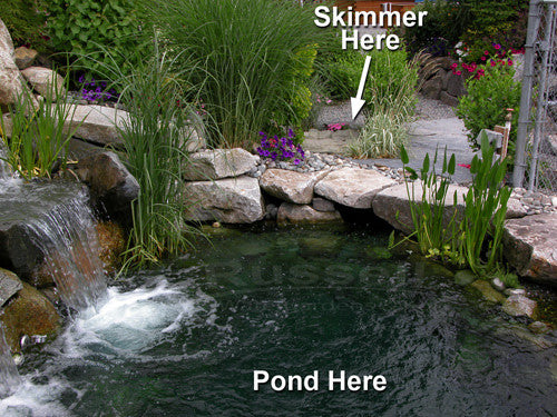 Install the Pelican HydroClean pond skimmer away from the pond edge for a more natural looking pond