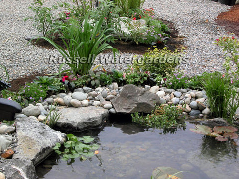 Can you see the HydroClean pond skimmer on this pond?  We didn't think so!