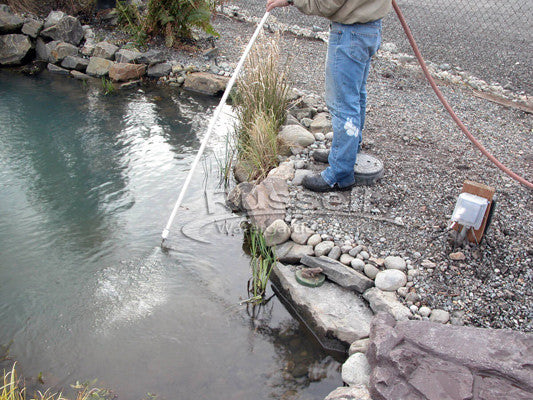 Routine "fluffing" of the pond and backwashing the filtration system eliminates "annual" pond cleanings