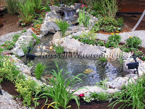 How to build a water garden pond - the finished pond