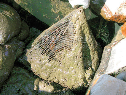 Typical waterfall filters are not backwashable and must be dismantled by hand for cleaning