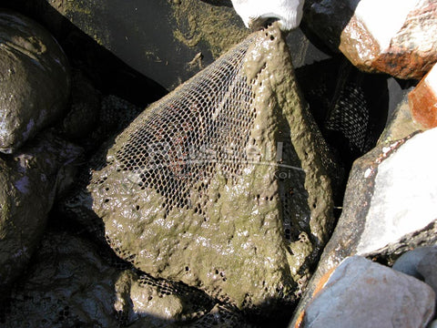 You have to remove heavy and smell lava rock nets from typical large waterfall filters for cleaning.