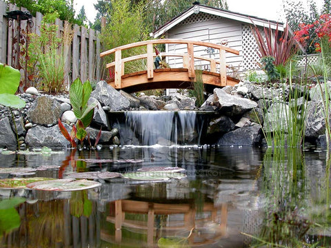 About Us:  Russell Watergardens & Koi has built more ponds and pondless waterfalls.