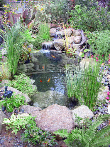 Ultimate 6'x6'small water garden pond kit