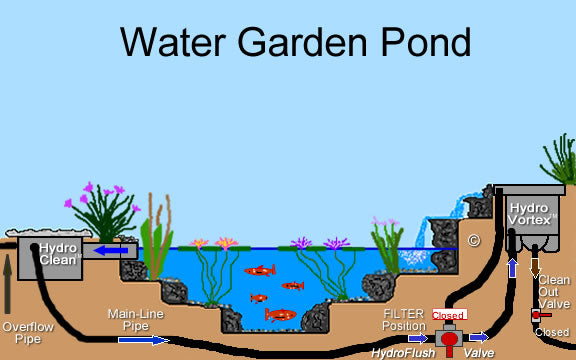 A water garden pond built with a Russell Watergarden's water garden pond kit is easy to clean.