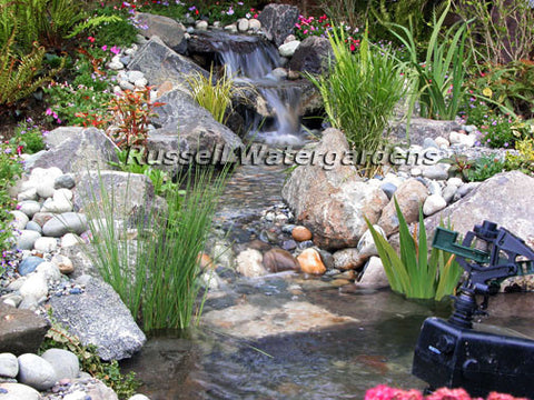 How to build a water garden pond - cut the excess liner only after the pond is full and the pump is running.