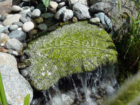 Waterfall rock before Hydro Vescense