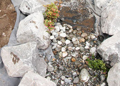 How to build a water garden pond - place gravel mixture in the stream and plant the marginal plants.