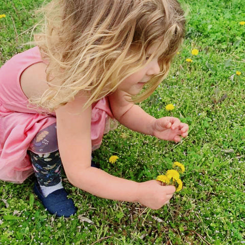 dandelion, herbal allies, detox, dandelion root benefits, liver function