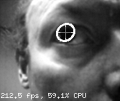 Eye tracking demo