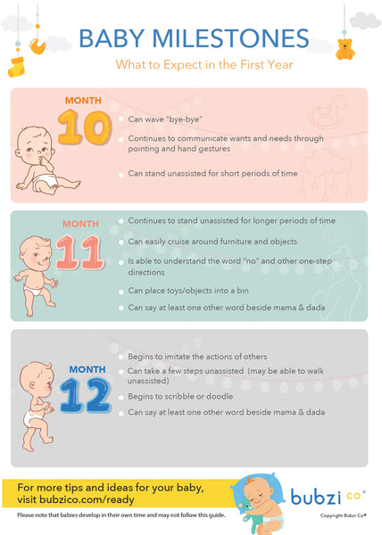 baby's first year of milestones 10 to 12 months