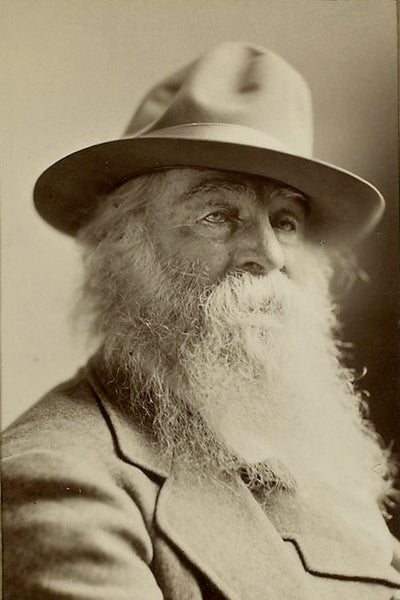 Walt Whitman Northern Fir Beard Oil